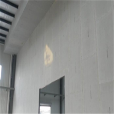 辛集宁波ALC板|EPS加气板隔墙与混凝土整浇联接的实验研讨